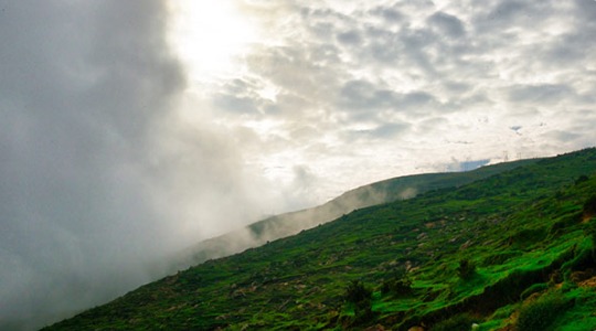 skyview patnitop